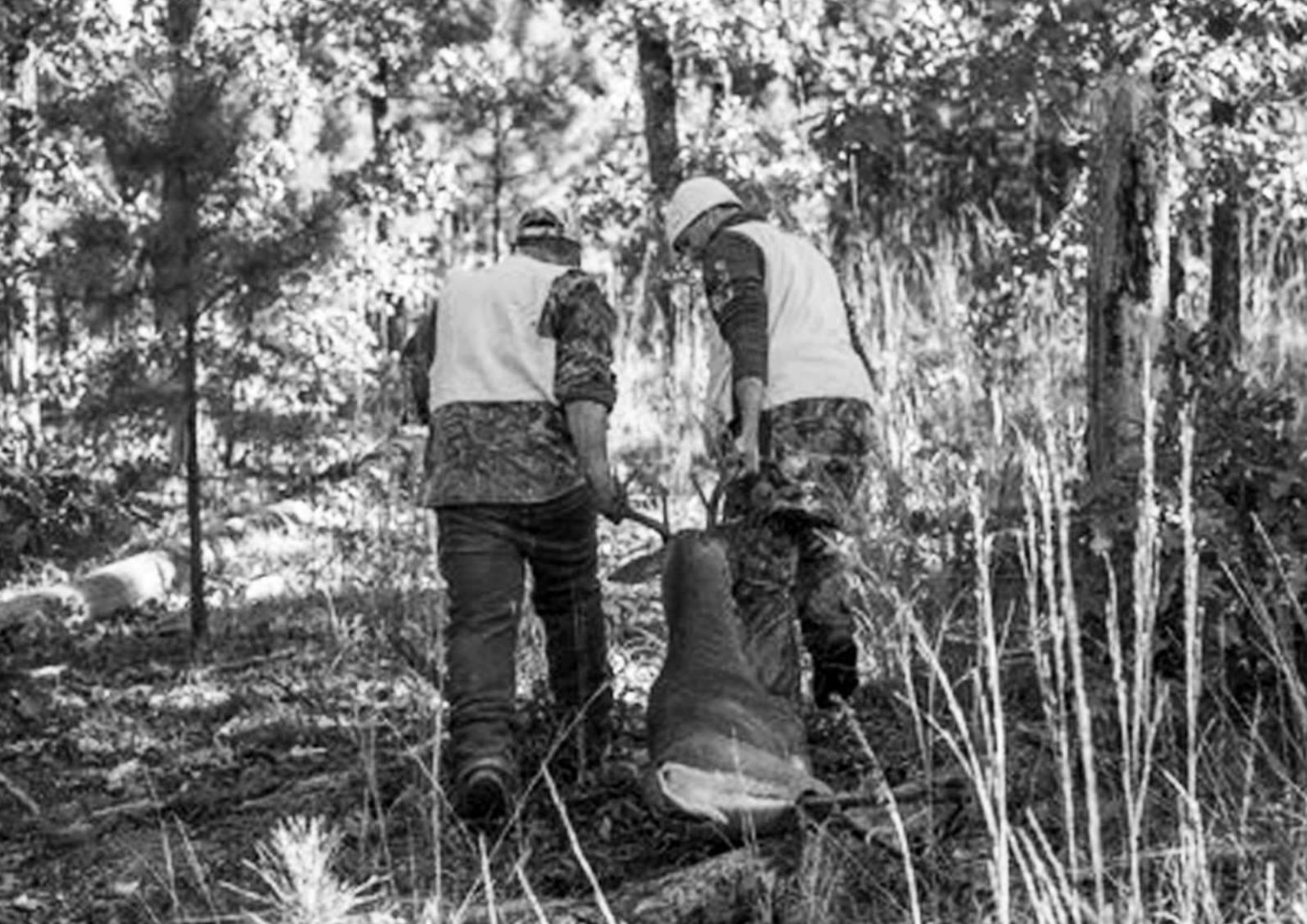 Muzzleloader season brings modern opportunities to longtime tradition