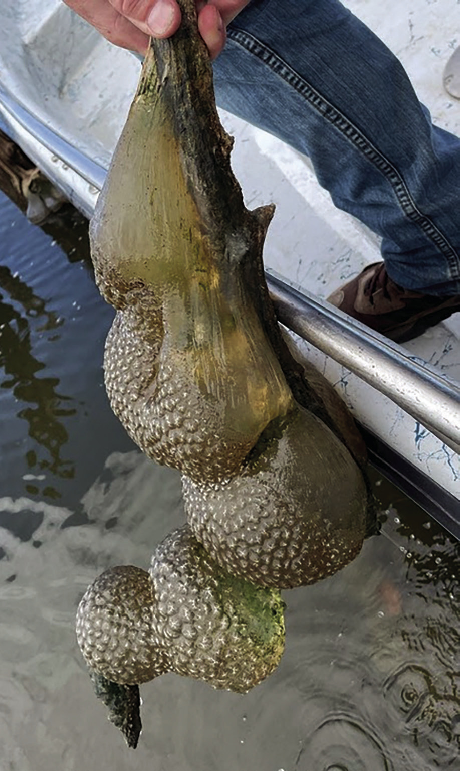 Outdoors Eufala Indian Journal