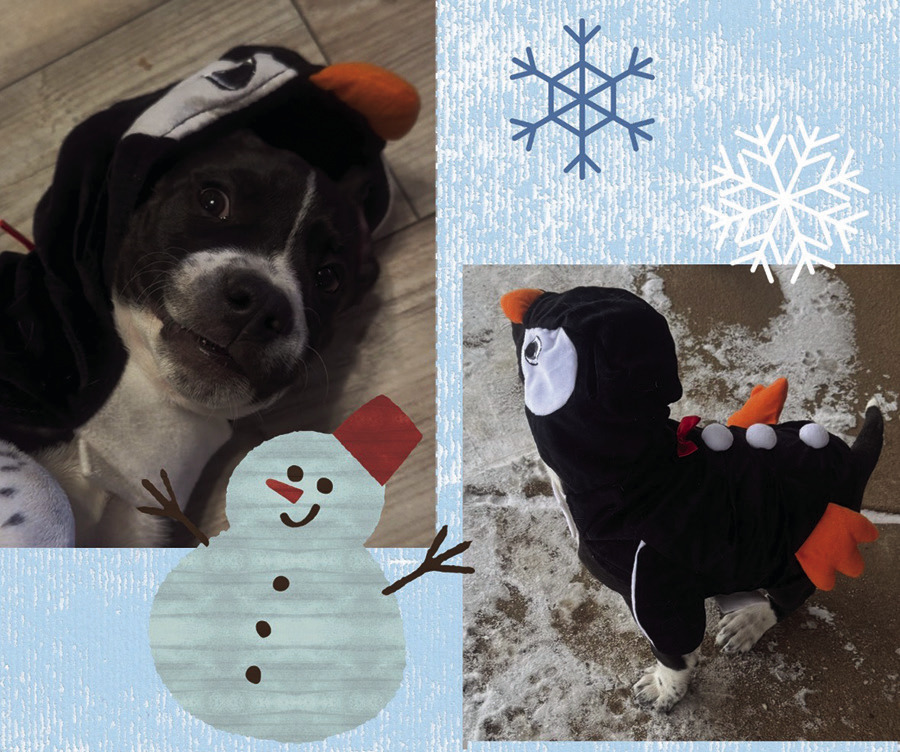 Oklahoma Senator introduces bill to protect Oklahoma land